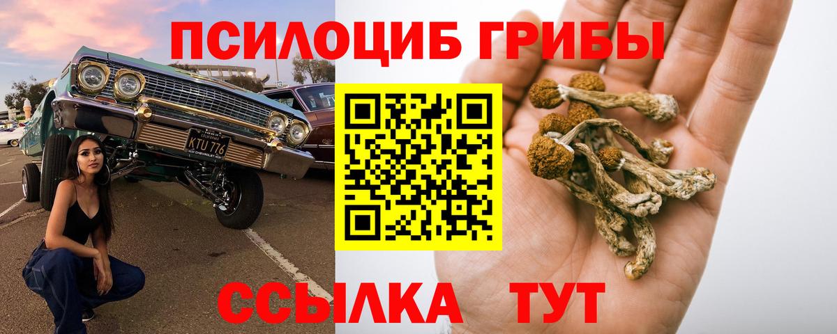 что такое   Псилоцибиновые грибы Magic Shrooms  Вход с VPN  Сосновоборск  Псилоцибиновые грибы ЛСД 